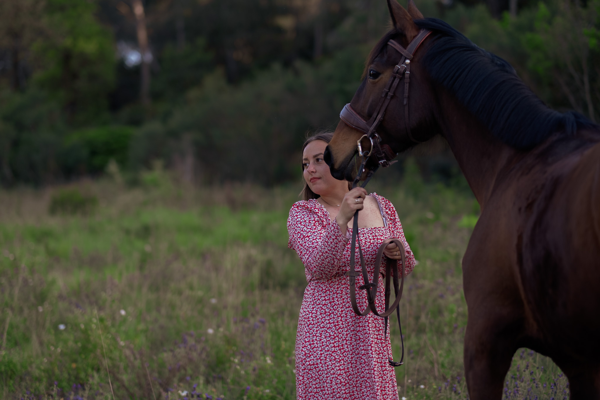 Famille et chevaux en séance photo à Hyères 06