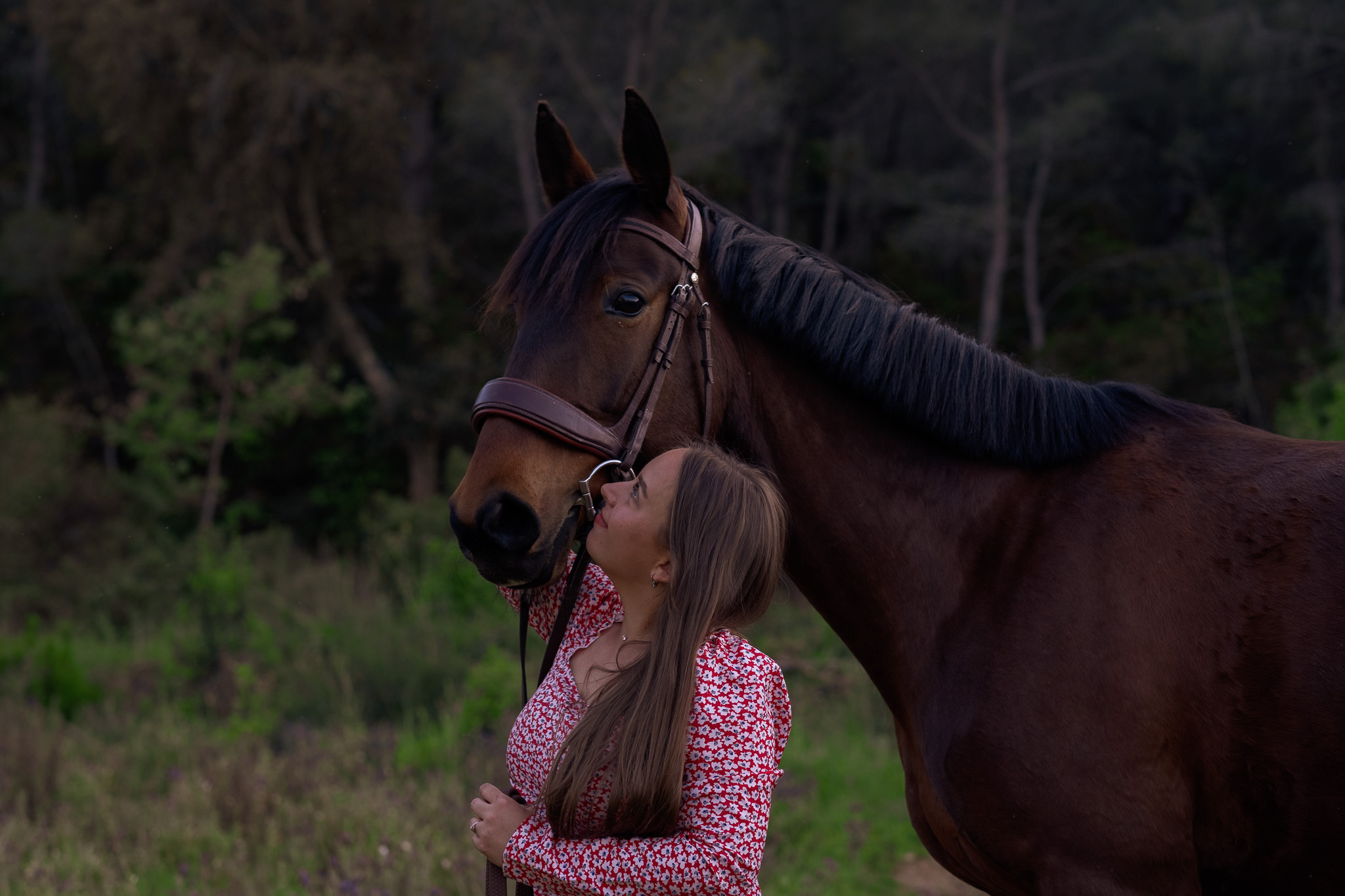 Photo de famille avec chevaux à Hyères 07